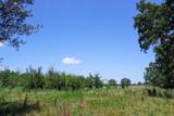 13 +/- Acres Greenbriar Road - Photo 20
