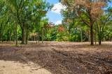13 +/- Acres Greenbriar Road - Photo 5