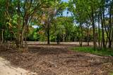 13 +/- Acres Greenbriar Road - Photo 9