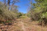 TBD County Road 482 - Photo 24