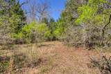 TBD County Road 482 - Photo 28