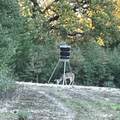 TBD County Road 482 - Photo 32