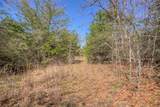 TBD County Road 482 - Photo 39