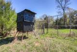 TBD County Road 482 - Photo 4