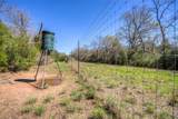 TBD County Road 482 - Photo 42