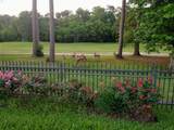 3303 Cotswold Manor Drive - Photo 3