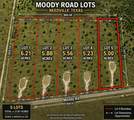 13550 Moody Road - Photo 1