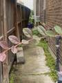 1528 Birdsall Street - Photo 5