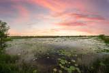 36067 Repka Road - Photo 35