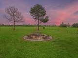 36067 Repka Road - Photo 37