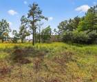 7449 Hwy 61 Highway - Photo 7