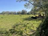 TBD County Rd 95/Mustang Bayou Road - Photo 1
