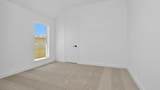 7718 Powdered Dancer Court - Photo 13