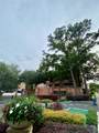 2111 Welch Street - Photo 8