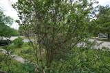 3309 Lawrence Street - Photo 13