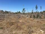 Lot 13 County Road 175 - Photo 3