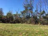 Lot 13 County Road 175 - Photo 4