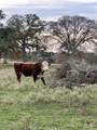TBD E Us Hwy 90 - Photo 4