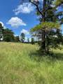 11109 County Road 207 - Photo 6