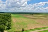 2523 County Road 267 - Photo 8