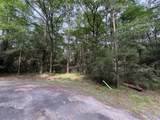 TBD Clear Springs Road - Photo 1