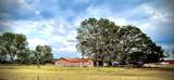 511 County Road 161 - Photo 5
