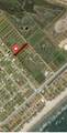 4118 Seabird Drive - Photo 8