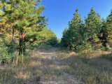 290 Red Hollow - Photo 1