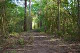 TBD Sharp Road - Photo 16