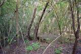 TBD Sharp Road - Photo 18