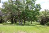 31 Mallard Lane - Photo 14
