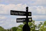 31 Mallard Lane - Photo 7