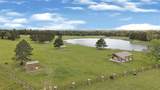 10681 Ruger Road - Photo 9