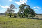 125 ACRES Spring Branch Road - Photo 11