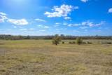 125 ACRES Spring Branch Road - Photo 12