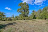 125 ACRES Spring Branch Road - Photo 14