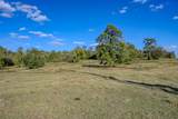 125 ACRES Spring Branch Road - Photo 15