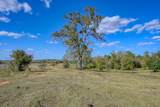 125 ACRES Spring Branch Road - Photo 18