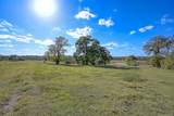 125 ACRES Spring Branch Road - Photo 7