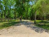 455 Ferguson Drive - Photo 3