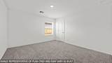 14314 Moonflower Drive - Photo 12