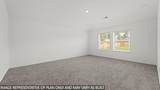 14314 Moonflower Drive - Photo 8