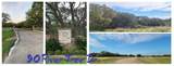 90 River Tree Drive - Photo 1