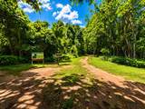 16826 Cobble Ridge Drive - Photo 47