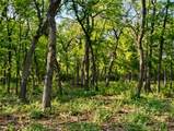 5997 County Road 308 - Photo 15