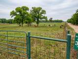 5997 County Road 308 - Photo 3