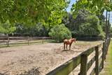 13523 Lakecrest Drive Drive - Photo 43
