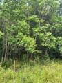 TBD 2 County Road 2223-B - Photo 3