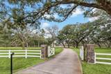 9500 Live Oak Court - Photo 4