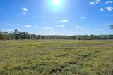 75 ACRES Spring Branch Road - Photo 11
